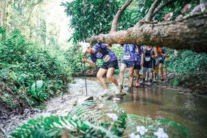 BIB: 
                            <button type="button" onclick="openModal(25475568)" class="btn btn-primary btn-sm float-right btn-popup" data-toggle="modal" data-target=".modal-high-quality">
                        <i class="fas fa-shopping-cart"></i> Add to Cart
                    </button>
                                            <button type="button" onclick="isThisMe(25475568, true)" class="btn btn-success btn-sm float-right btn-popup btn-isme hidden" data-toggle="tooltip" data-placement="bottom" title="นี่คือรูปของคุณใช่ไหม คลิกที่นี่เพื่อเอาเข้าอัลบั้ม">
                        <i class="fas fa-plus"></i> Add to album
                    </button>
                    <button type="button" onclick="isThisMe(25475568, false)" class="btn btn-warning btn-sm float-right btn-popup btn-isnotme hidden">
                        <i class="fas fa-ban"></i> Remove from album
                    </button>